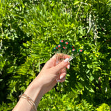 Acrylic Olive Picks | Set of 4