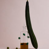 Olive Bottle