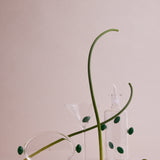 Olive Bottle