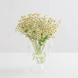 The Happy Vase Clear & Opaque White