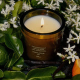 Night Blooming Jasmine & Damask Rose Candle